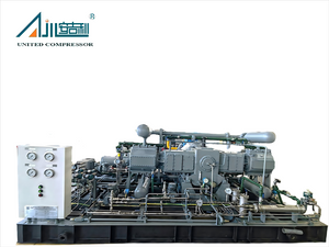 DW-3.8/(4-6) -15 नाइट्रोजन कंप्रेसर