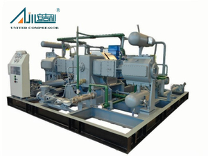 DW-6.3/(0.2 ~ 0.5) -16 अमोनिया प्रशीतन पिस्टन कंप्रेसर