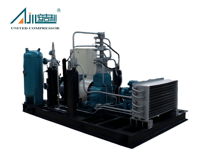 सीएनजी के लिए उच्च दबाव तेल मुक्त प्राकृतिक गैस पिस्टन कंप्रेसर